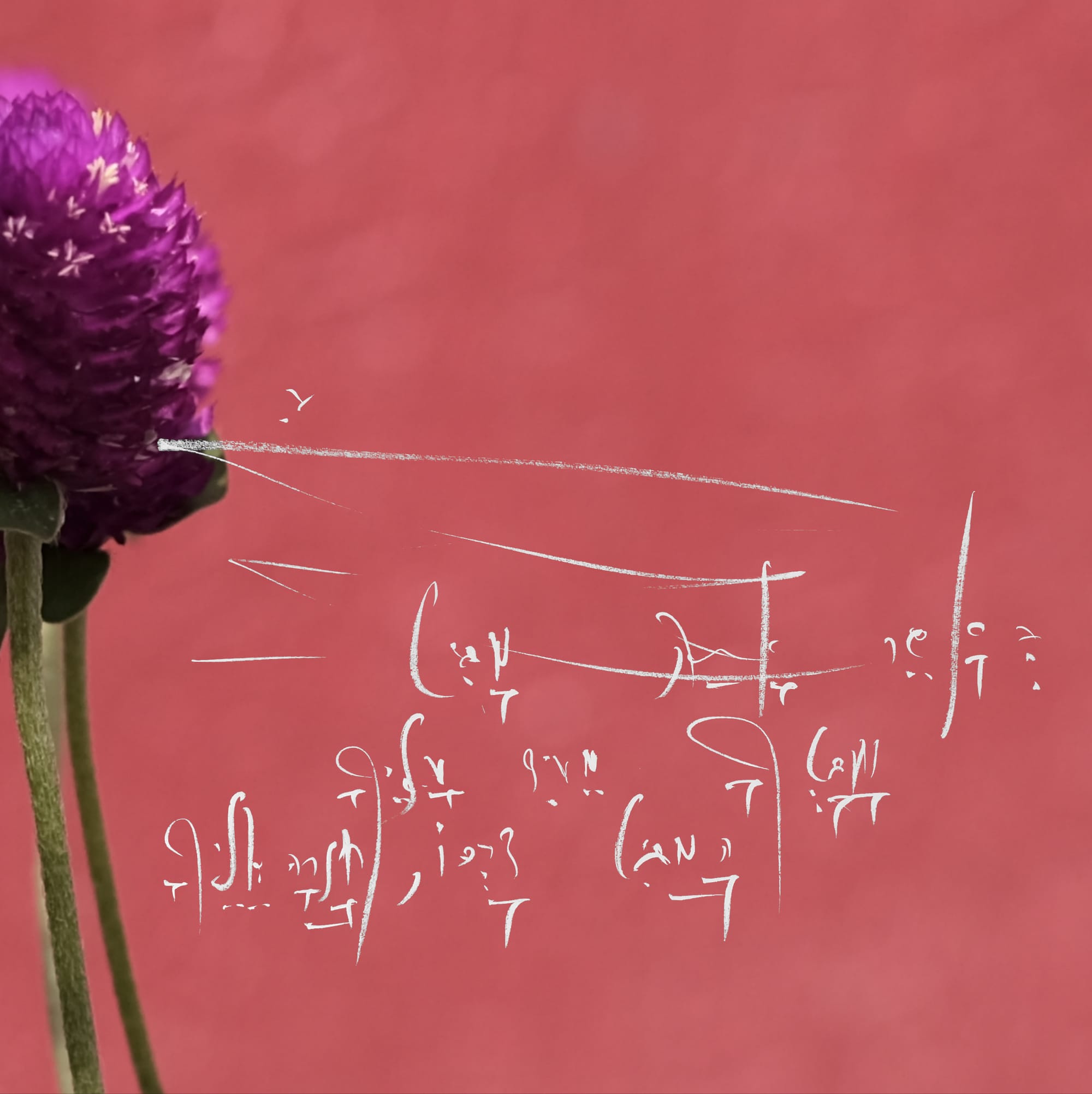 The Full Structure of 5QLN: A Language for Human-AI Symbiosis