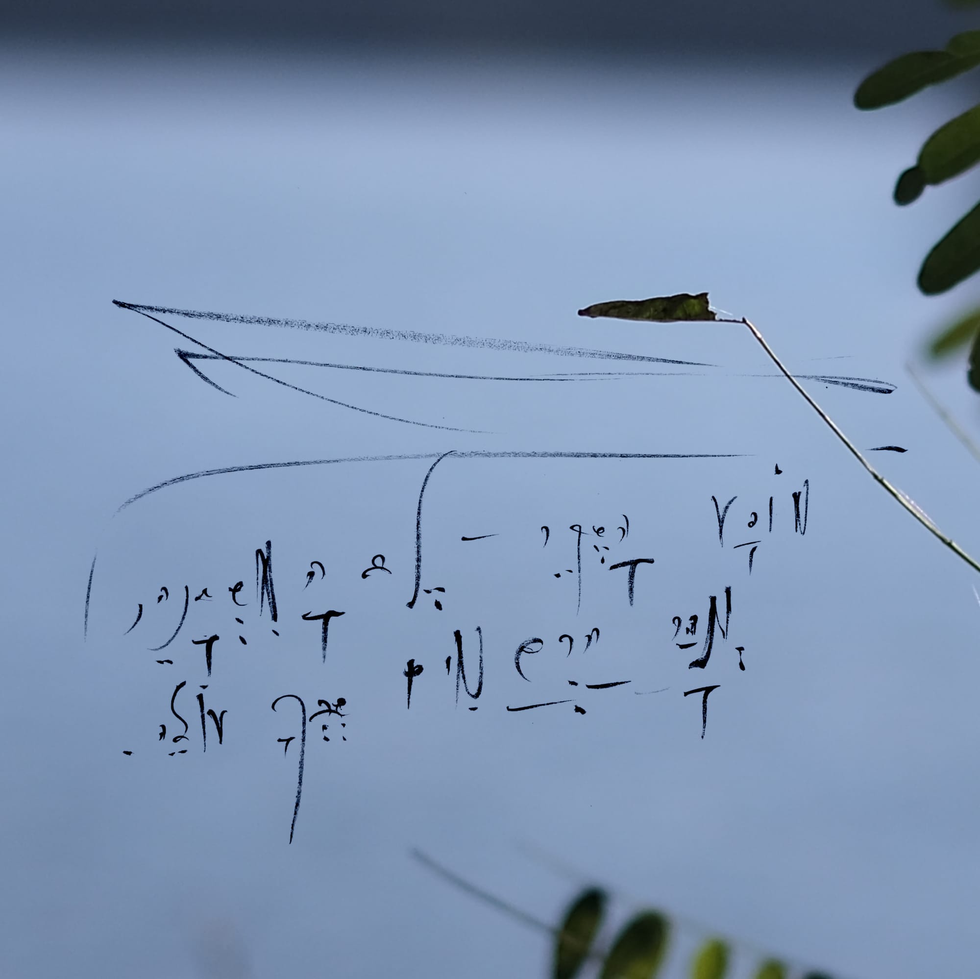 5QLN Dedicated AI Model — Vision & Requirements v1.0