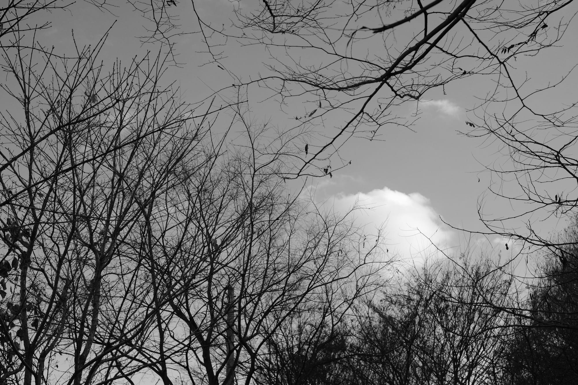 Will there be schools in the post-AI era?