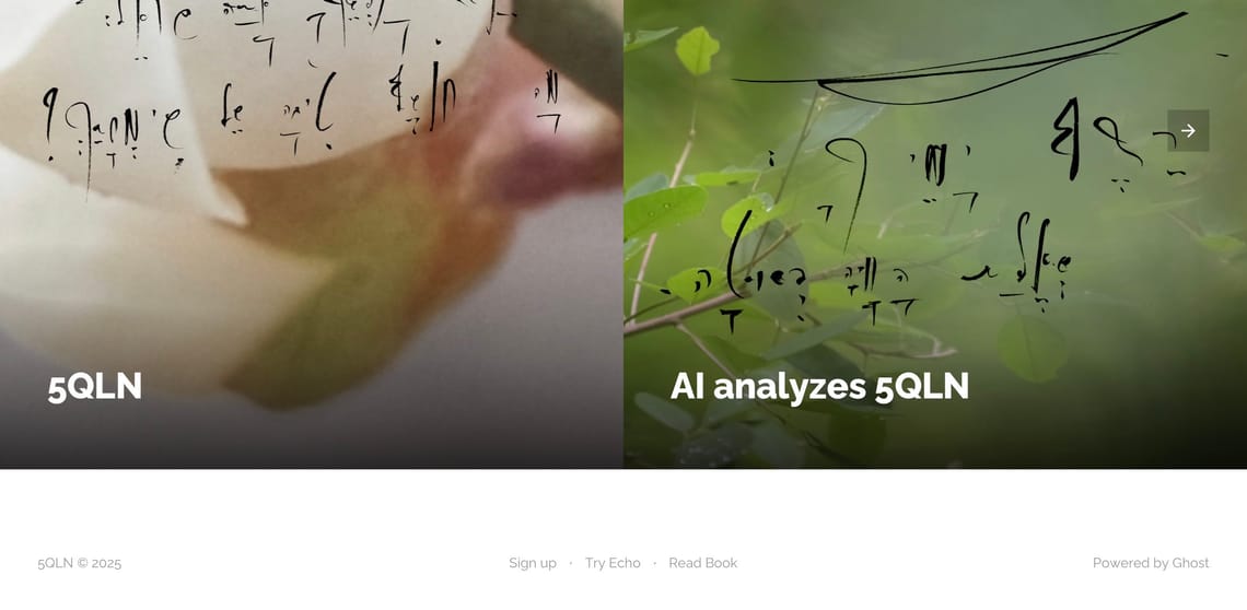 I asked Z.ai to prepare Comprehensive Review of 5qln.com