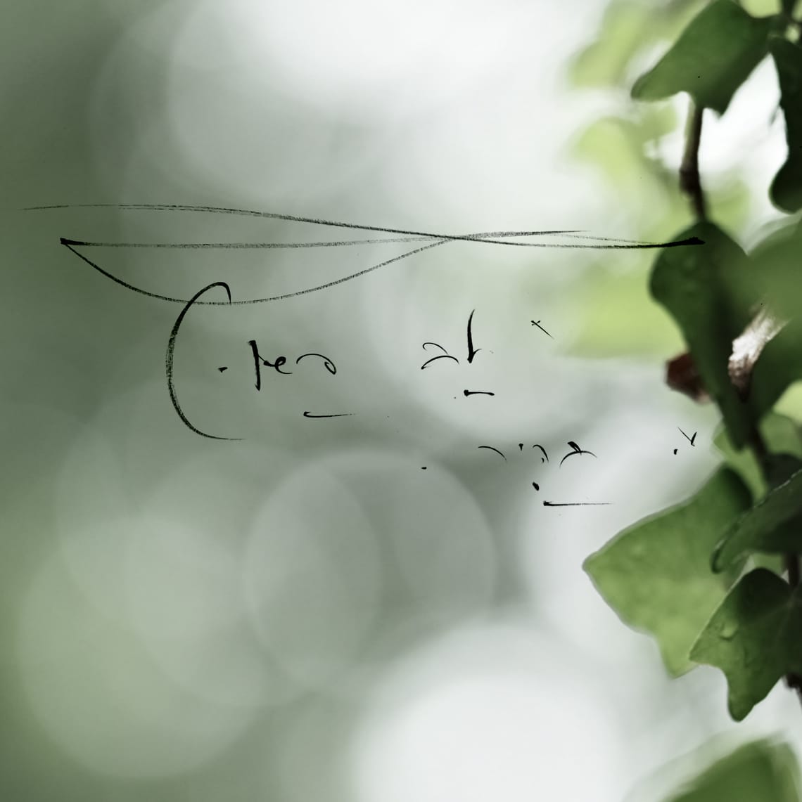 A simple heart, clear