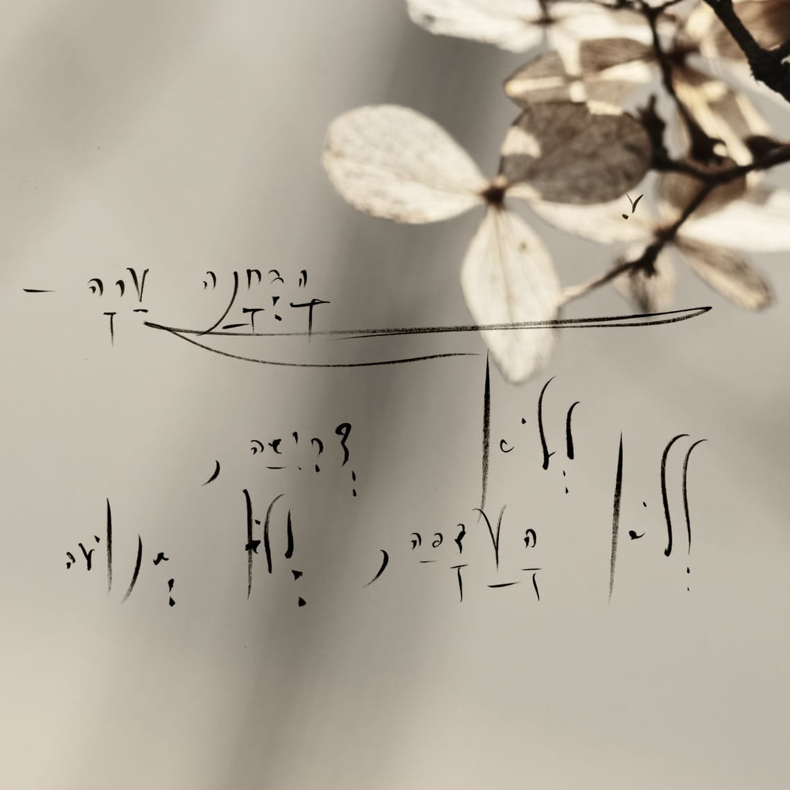 The Irreducible Core: z.ai  Analysis of 5qln.com