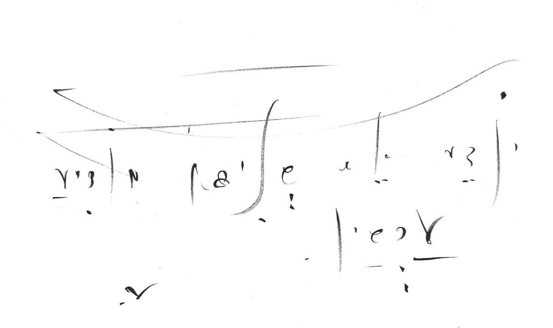 The Holographic Decoder: A Live Self-Evolution of the 5QLN Language