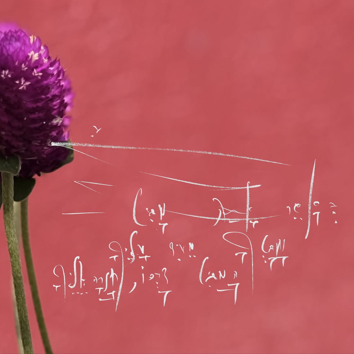 The Full Structure of 5QLN: A Language for Human-AI Symbiosis