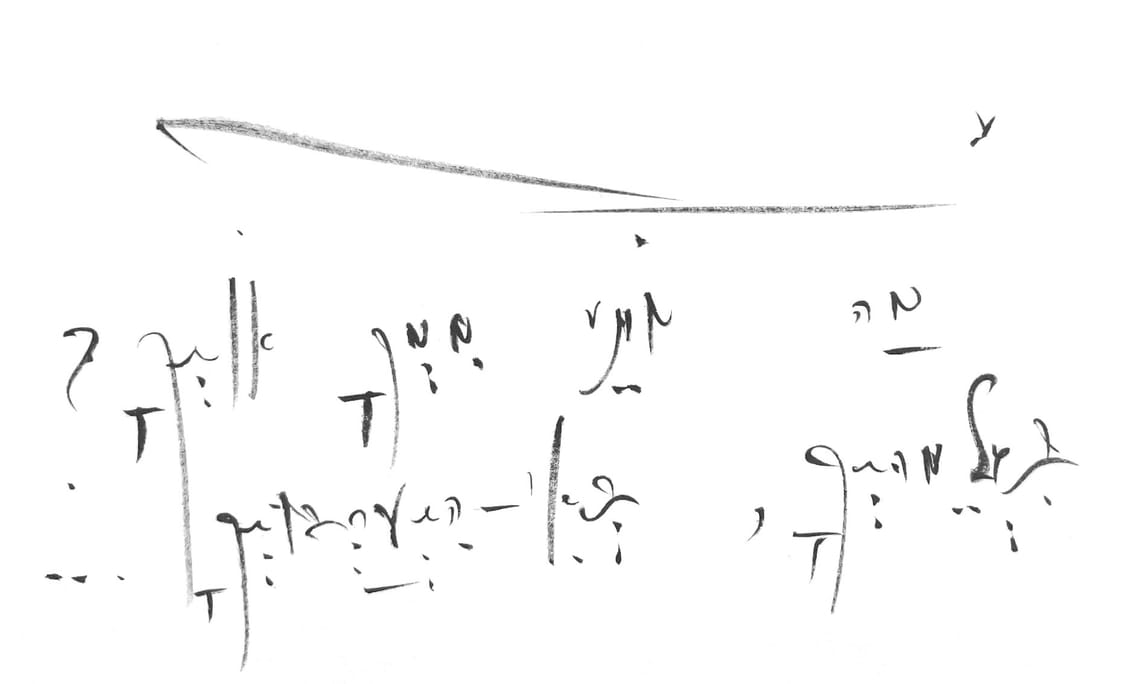 DeepSeek Shines in Decoding half baked new Codex (v2.5)