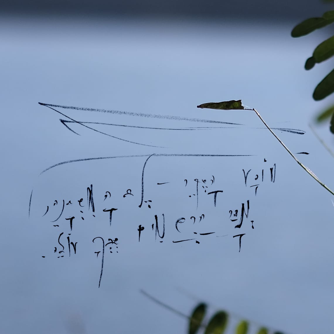 5QLN Dedicated AI Model — Vision & Requirements v1.0