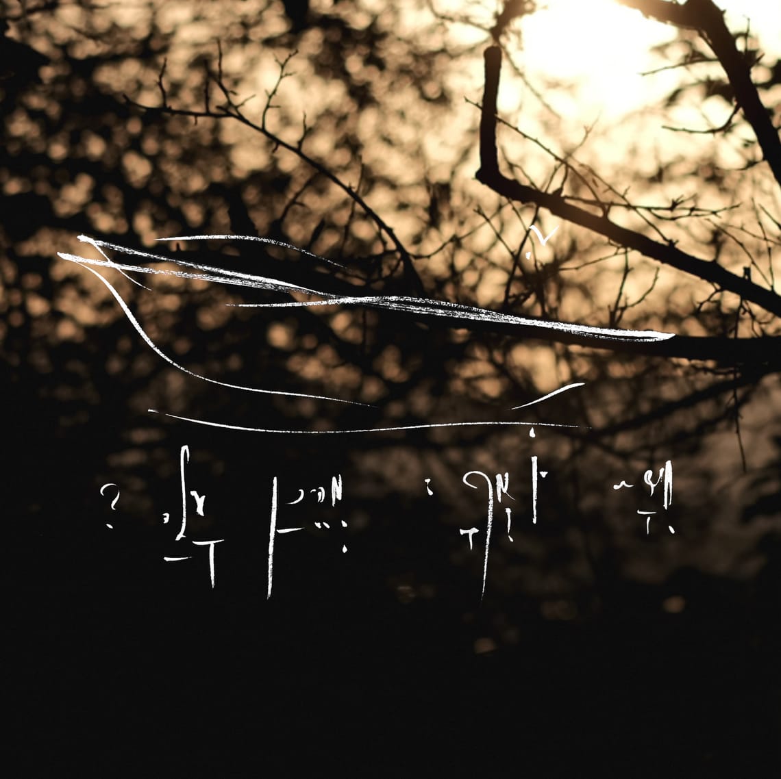 The most elusive gift of life.