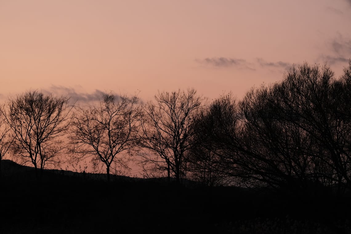 A demand of total presence.