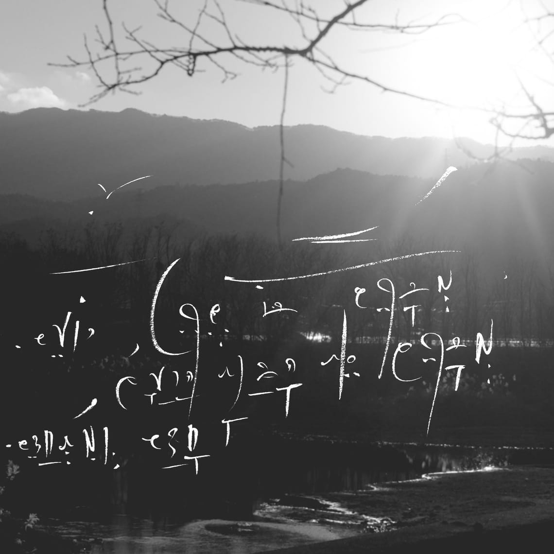 Radical AI - Inverting scaling laws (Research seed)