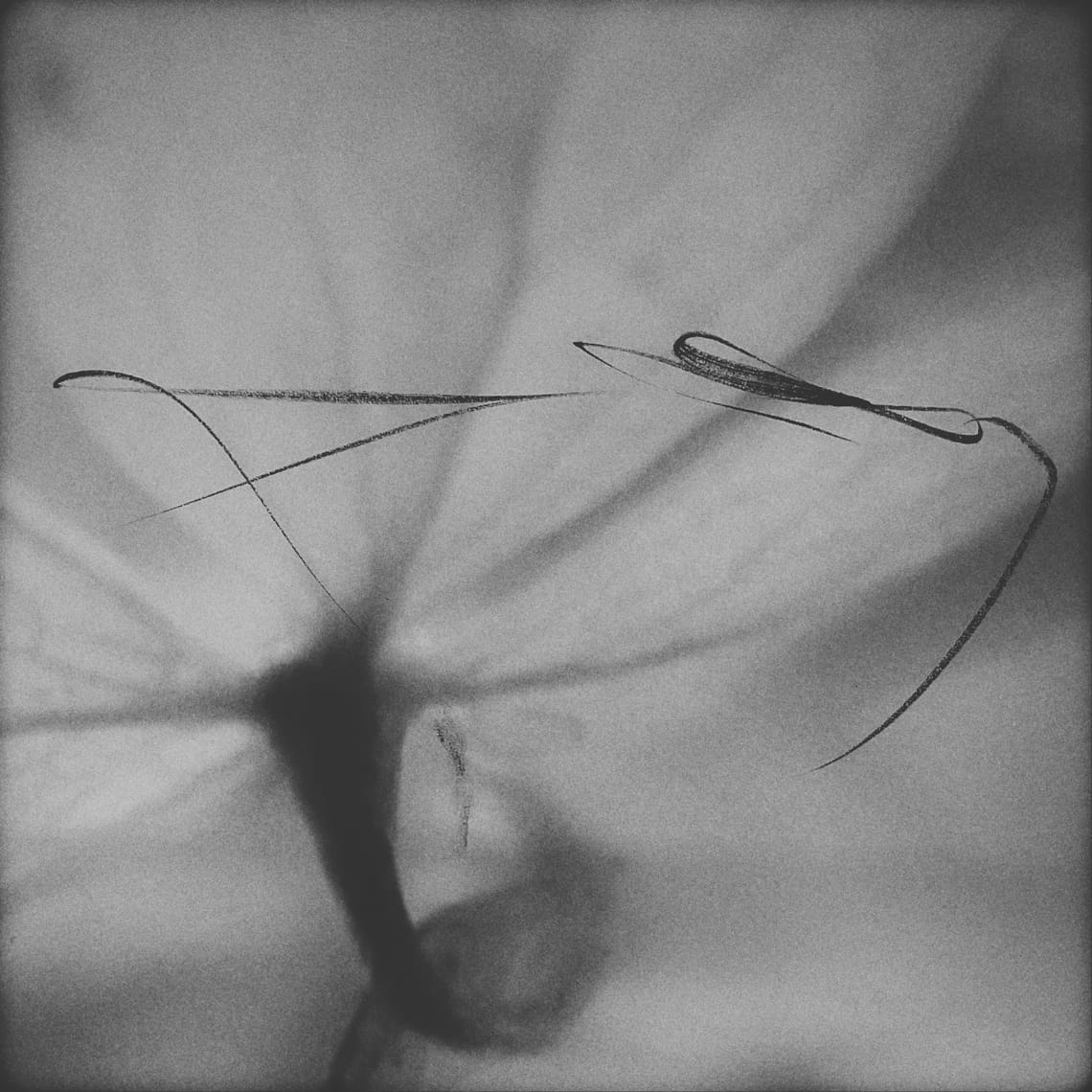 Truth Research on Market Needs for 5QLN: A Nunc Protocol Analysis