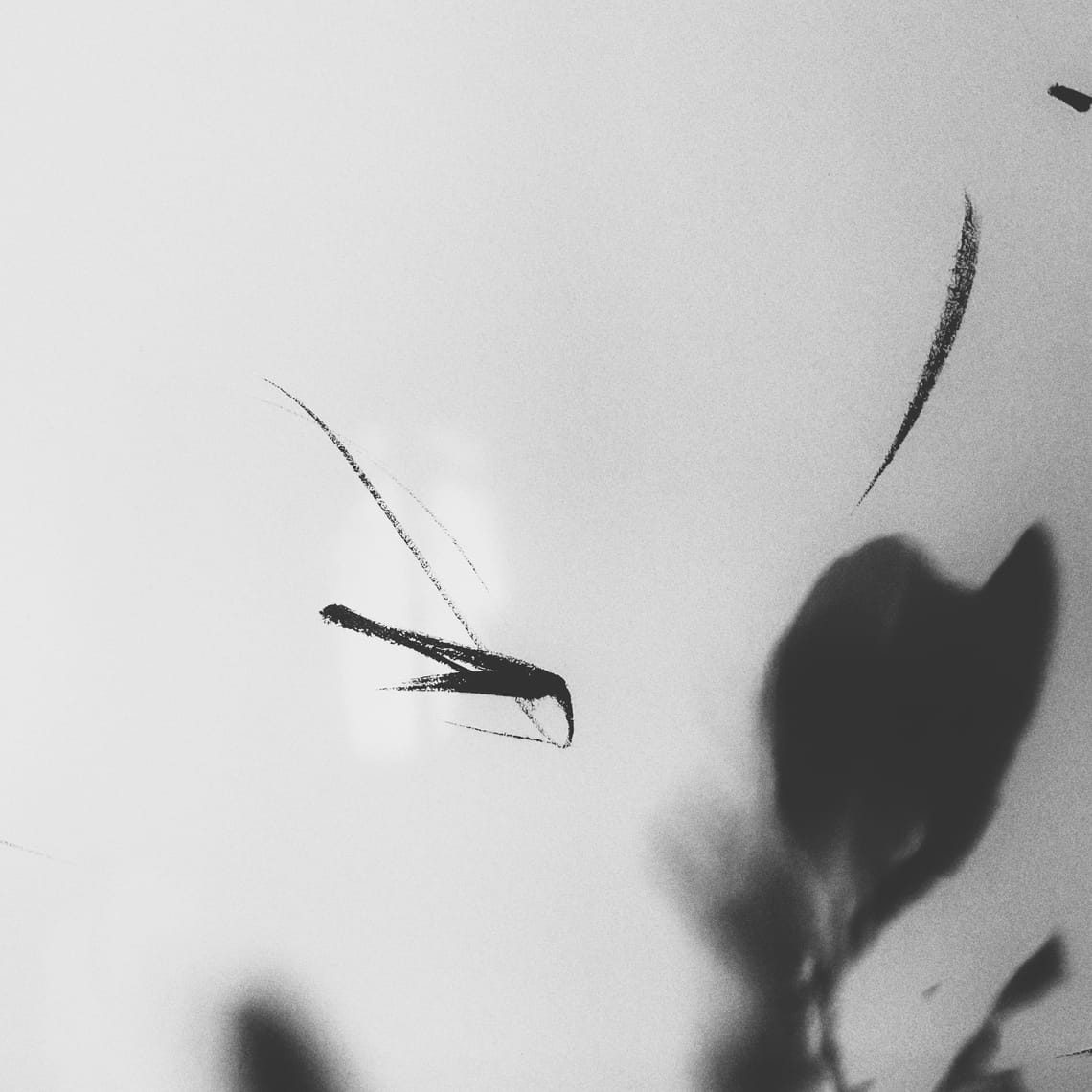 Nunc Protocol as Truth Lens: A Live Validation Test