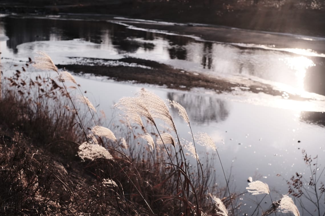 The Holding That Doesn't Close: Protocols for Not-Knowing