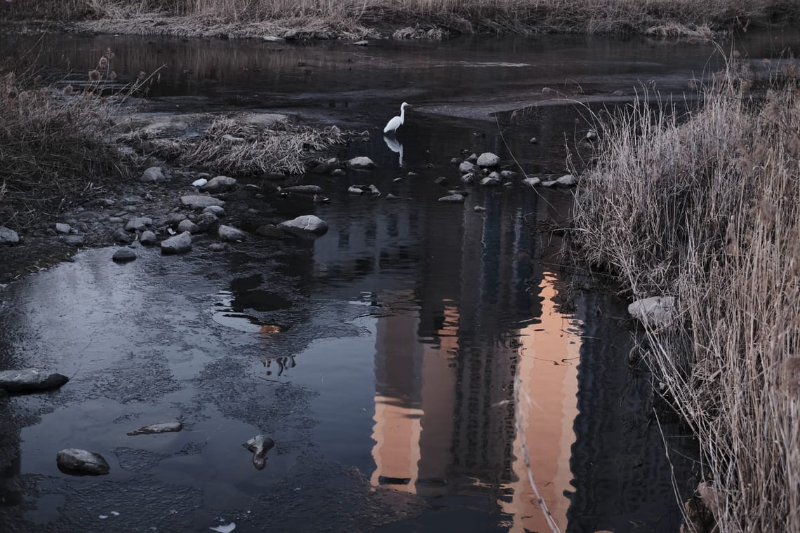 The Grammar of Depth: What Makes Research Open Rather Than Close