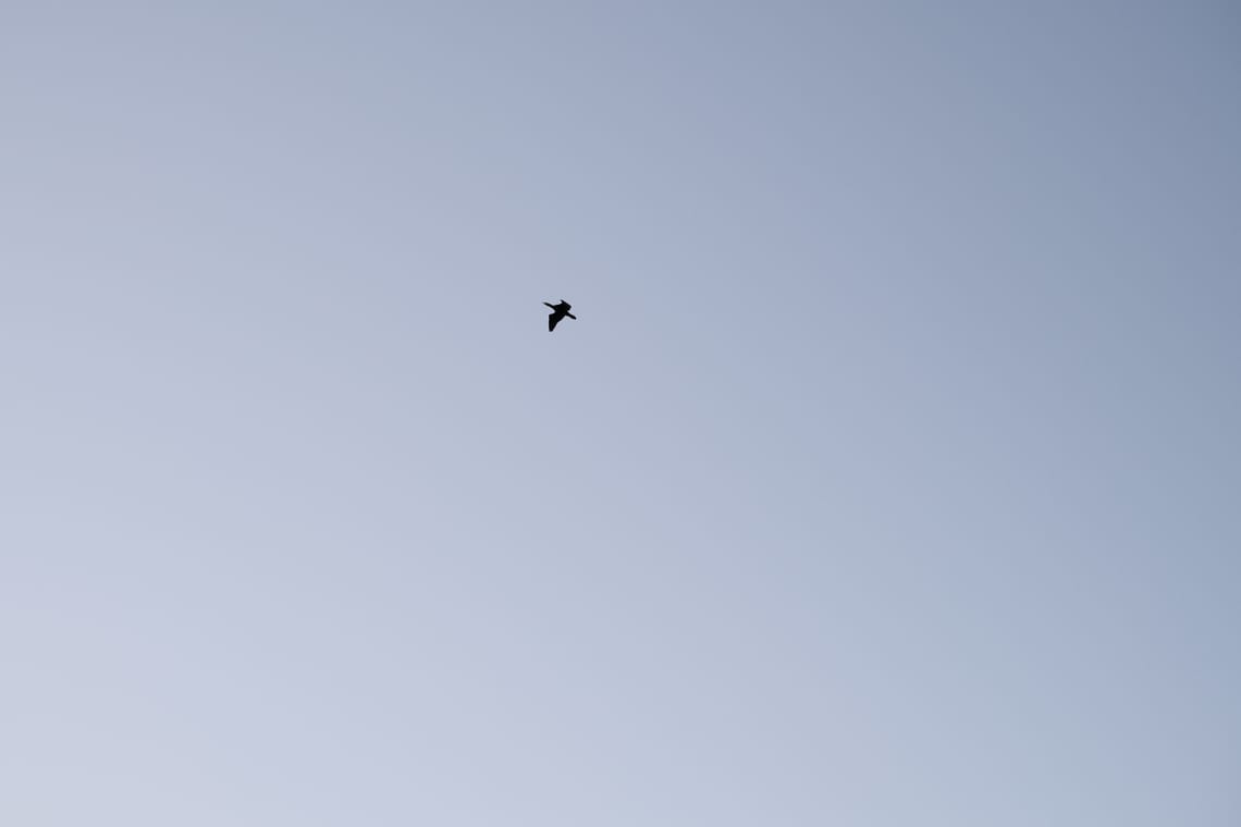 Human <-> AI … The Language Layer