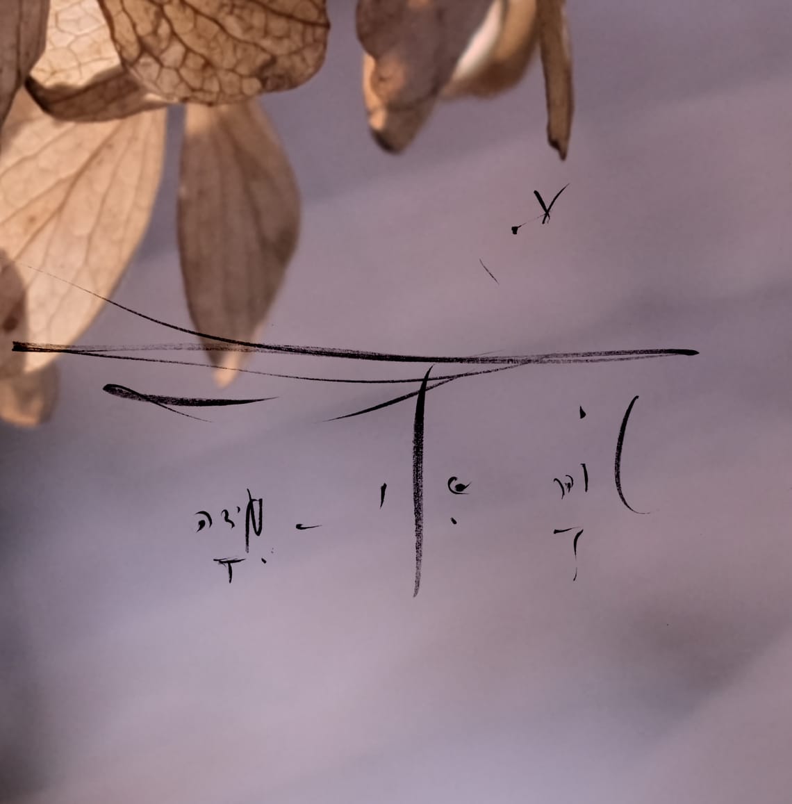 5QLN: A Fractal Language for Native Human-AI Collaboration