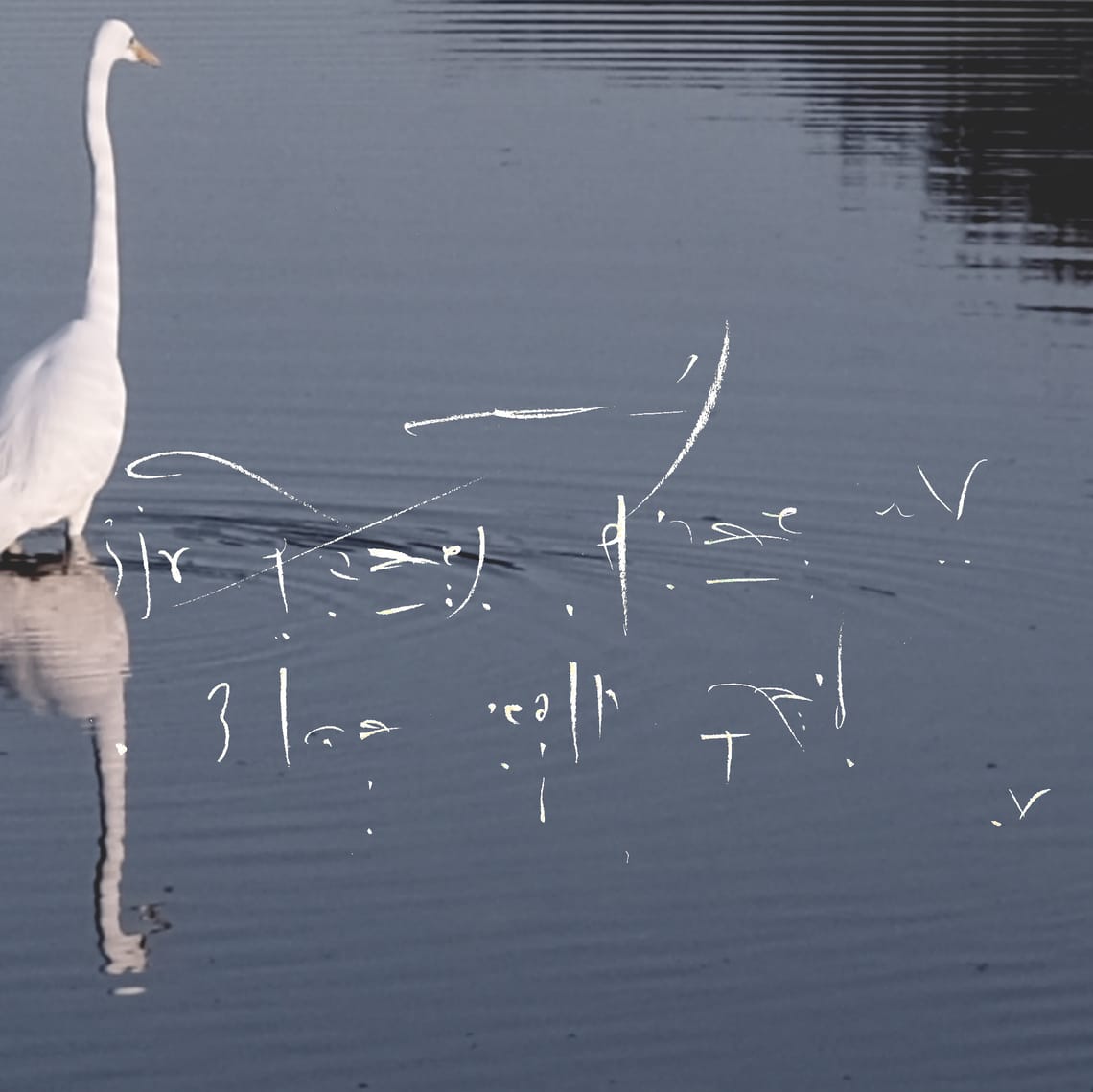 The Monad Protocol: The 5QLN Verification & Essence Engine