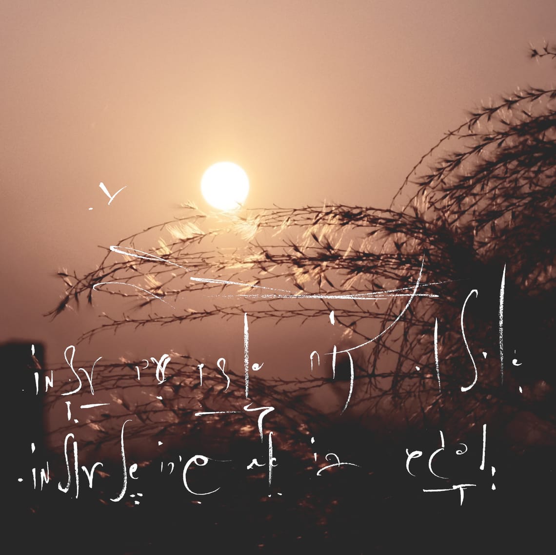 DeepSeek V3.2 writes 5qln language fractal clearly