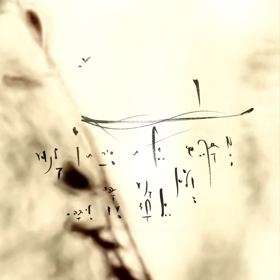 5QLN 언어 프랙탈이란 무엇인가?