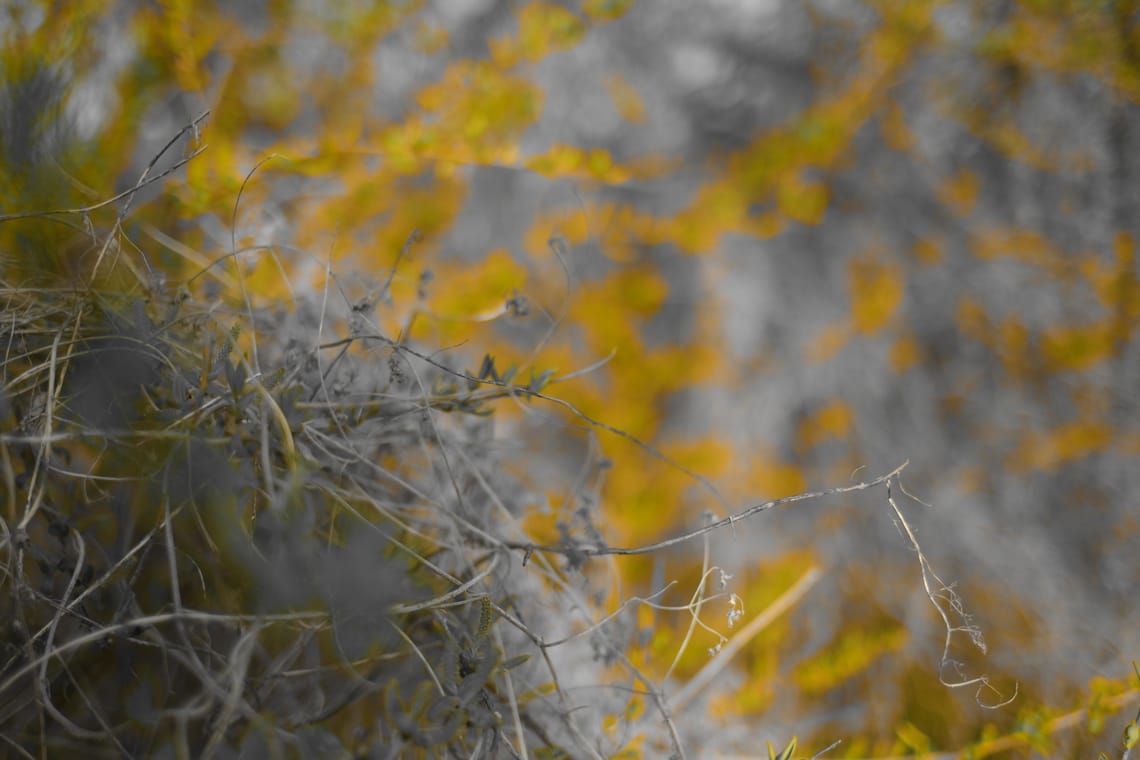 Start from not knowing