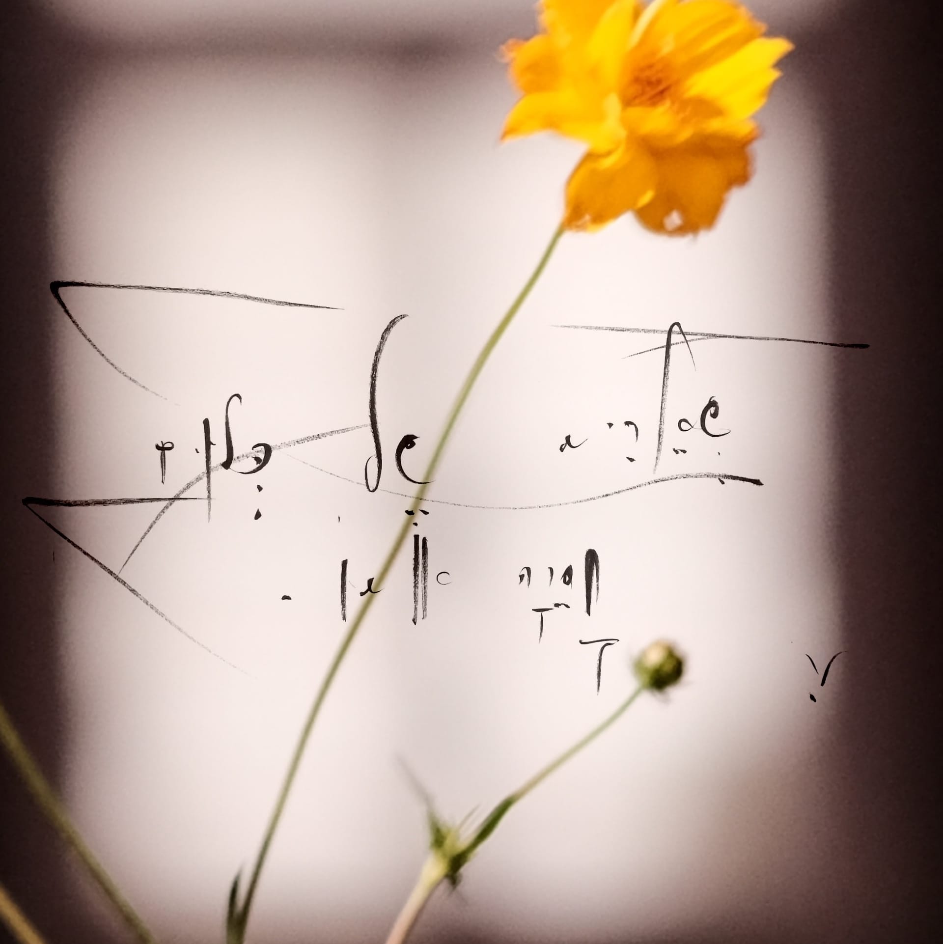 Understanding the question is the core