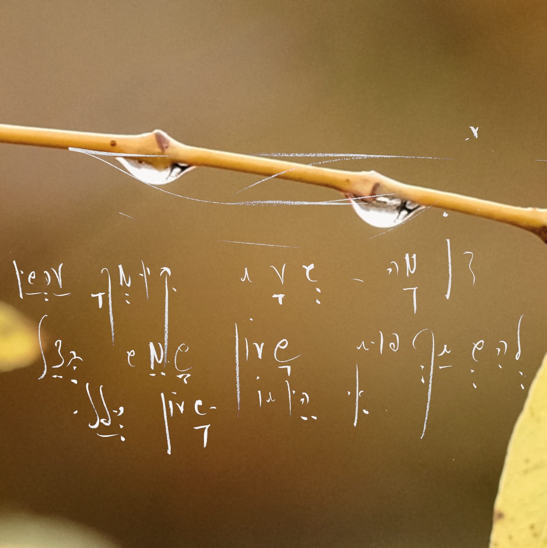 The Sundial and the Clock: Reimagining Investment for a Post-AI World