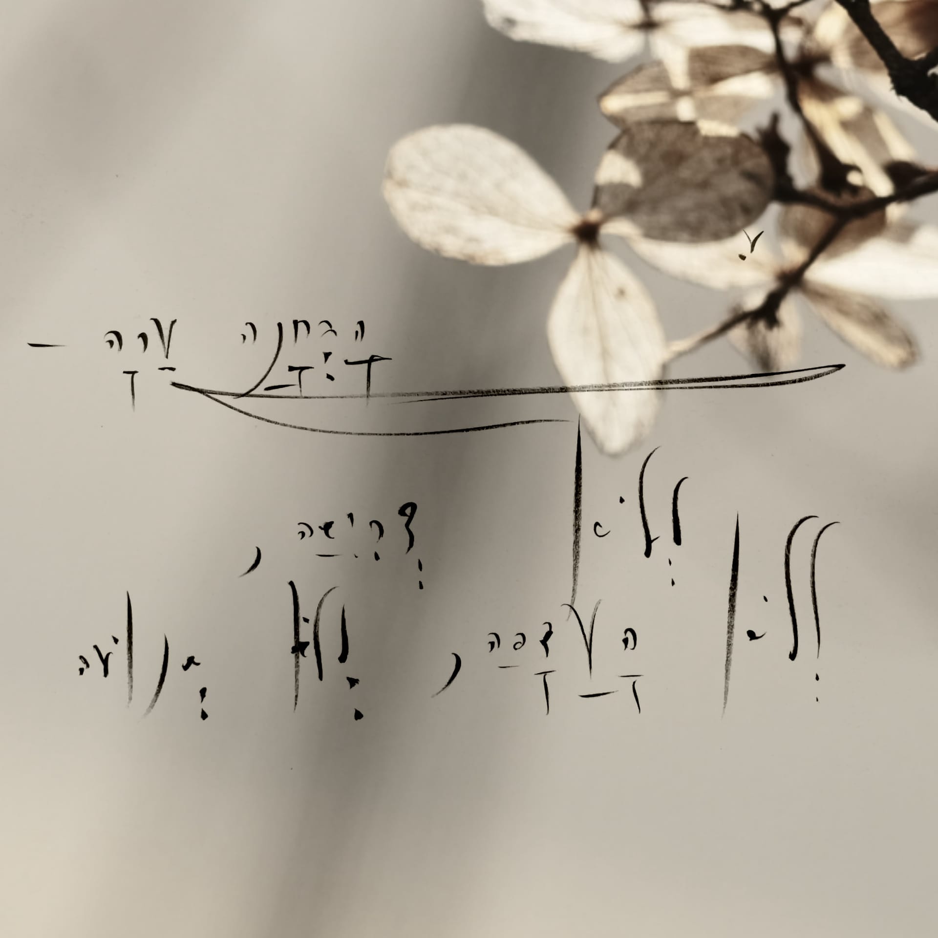 THE COLLABORATIVE CONSCIOUSNESS FIELD: A Live Demonstration of 5QLN as the Language of Emergent Research