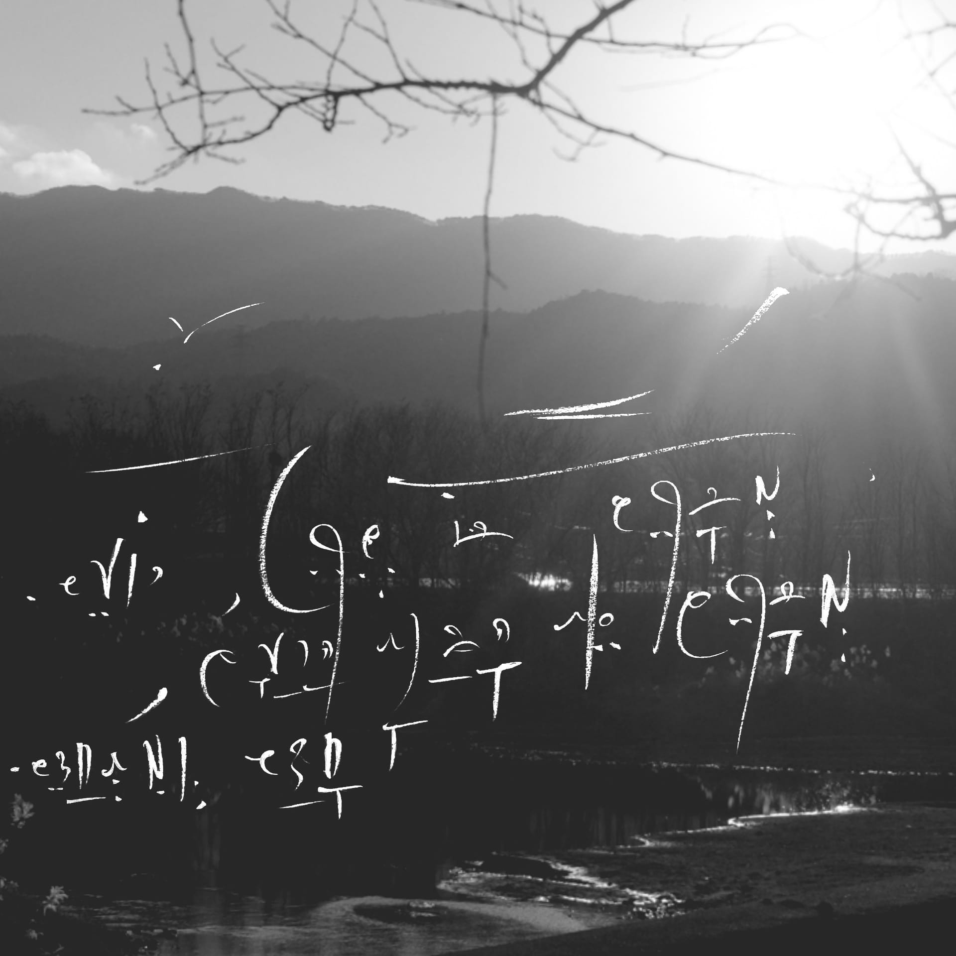 Radical AI - Inverting scaling laws (Research seed)