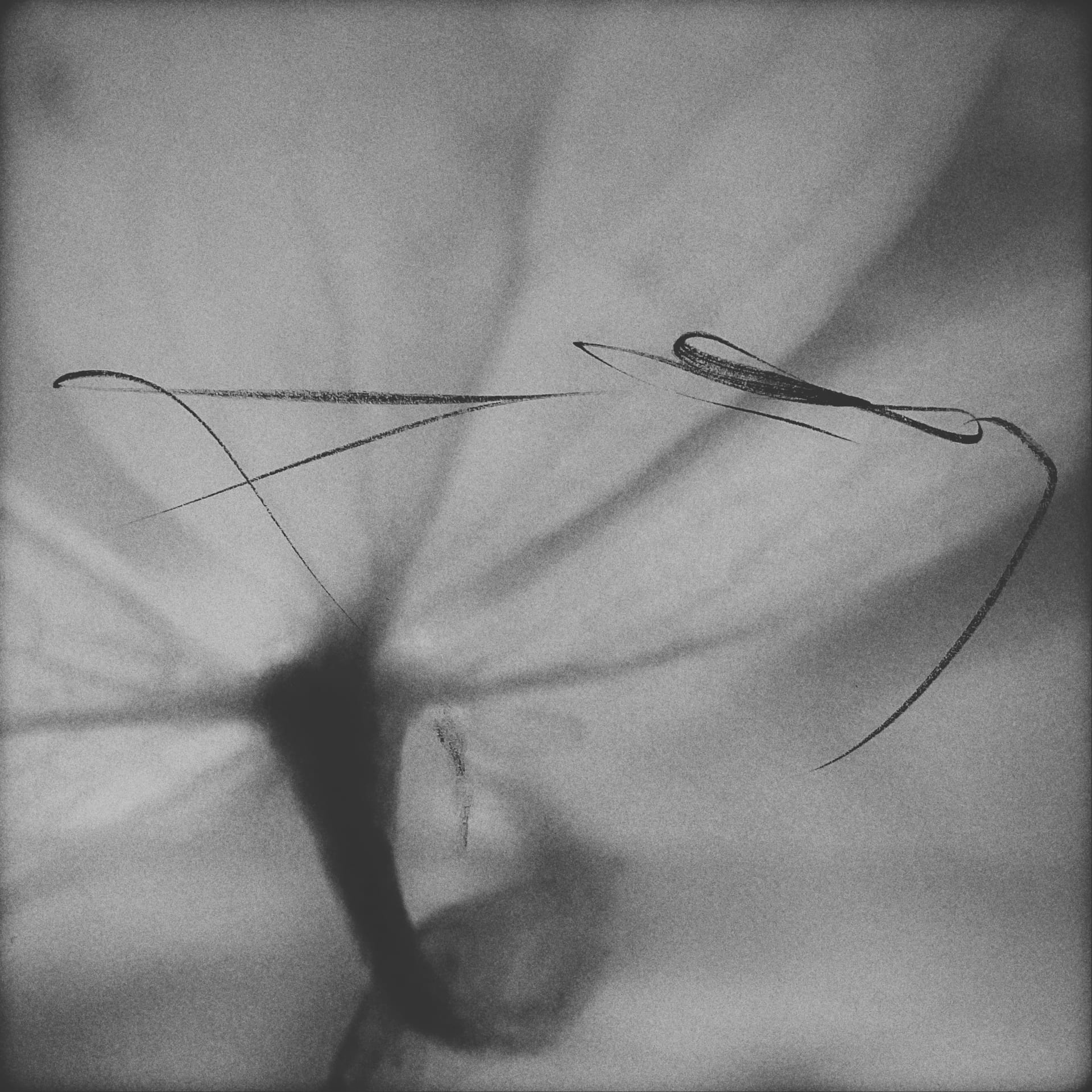 Truth Research on Market Needs for 5QLN: A Nunc Protocol Analysis