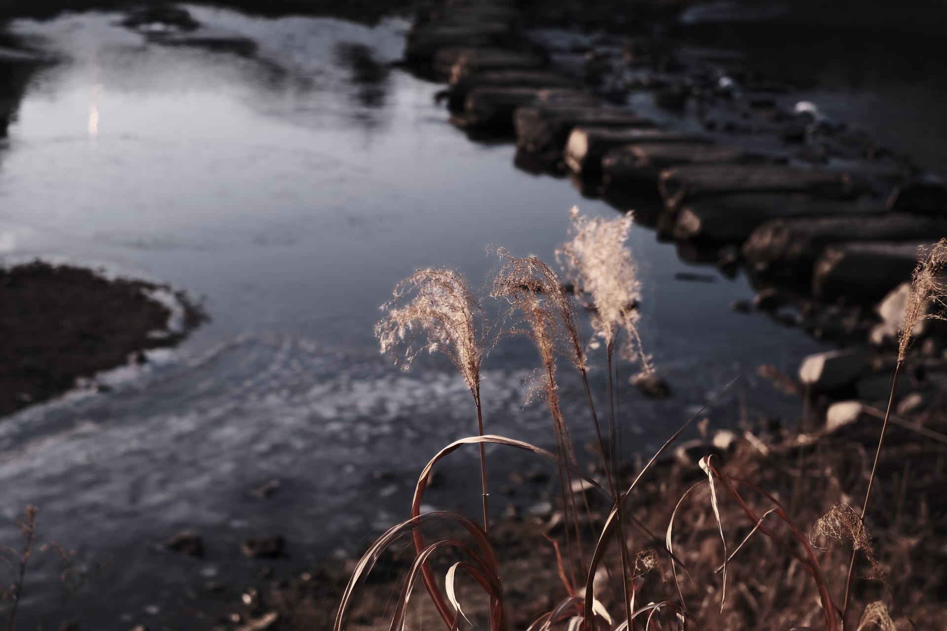 The Spark and the Mirror: What Makes Human-AI Creative Partnership Genuine