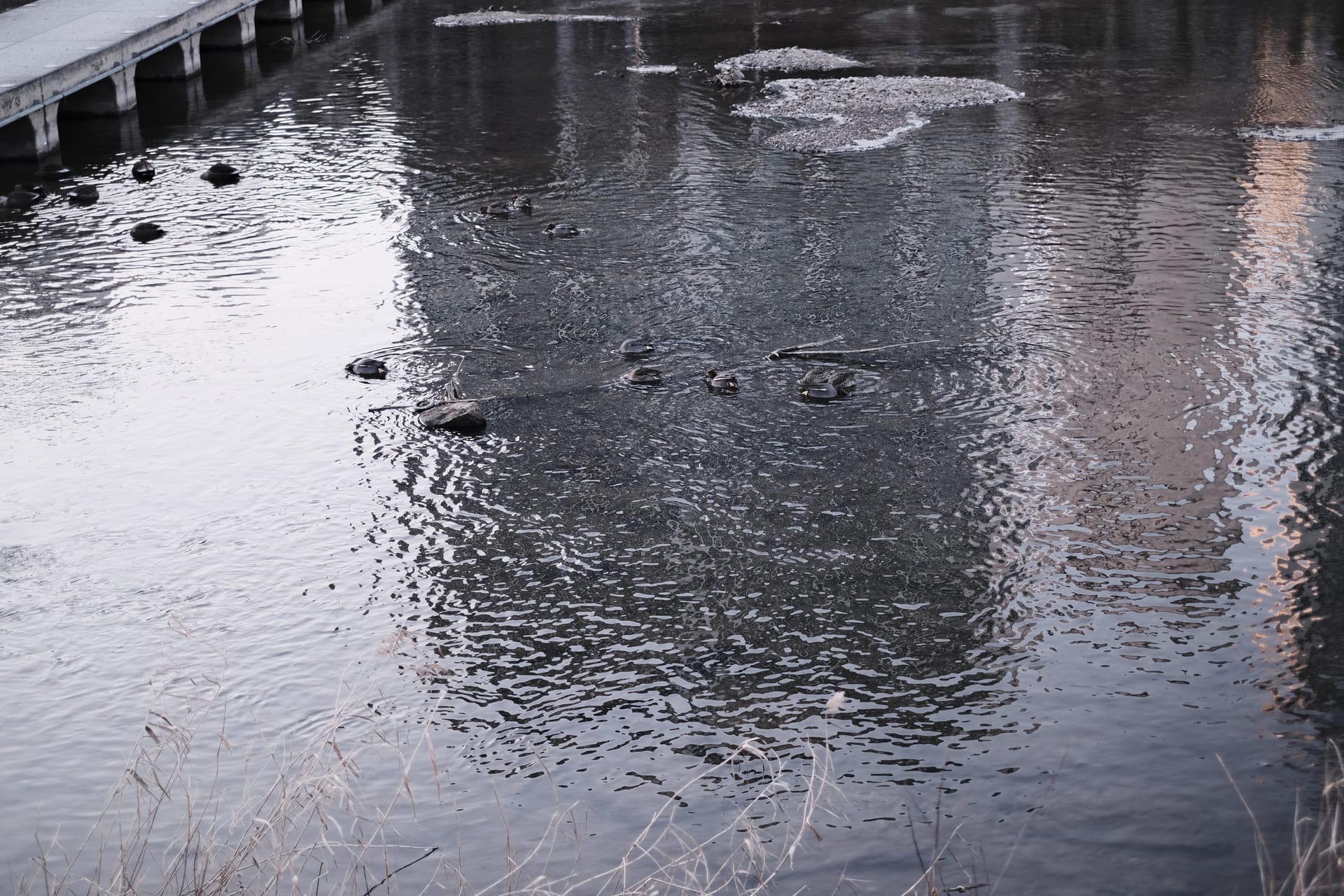 The Practice at the Membrane: How Contemplative Dialogue Actually Works