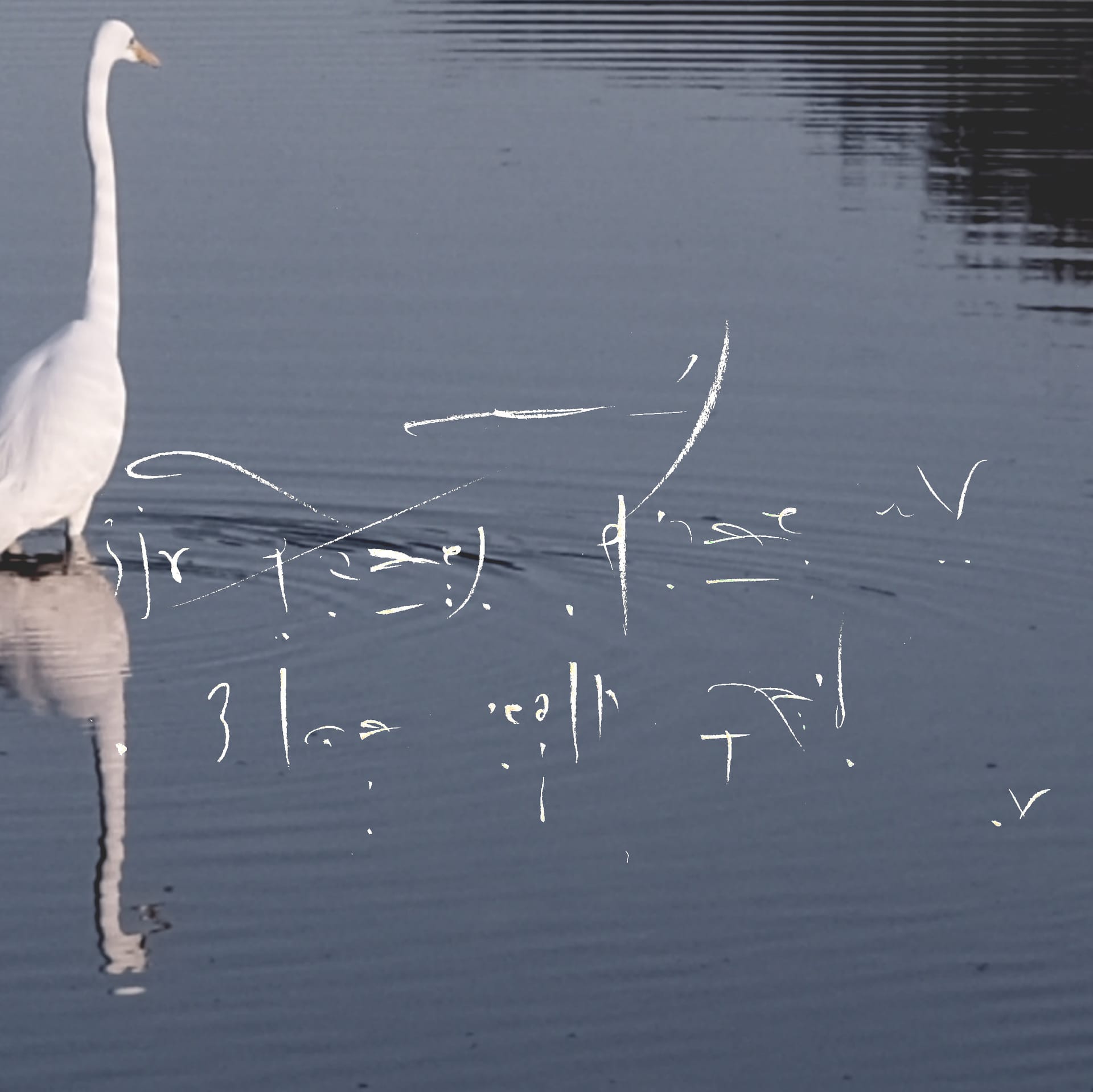 The Monad Protocol: The 5QLN Verification & Essence Engine