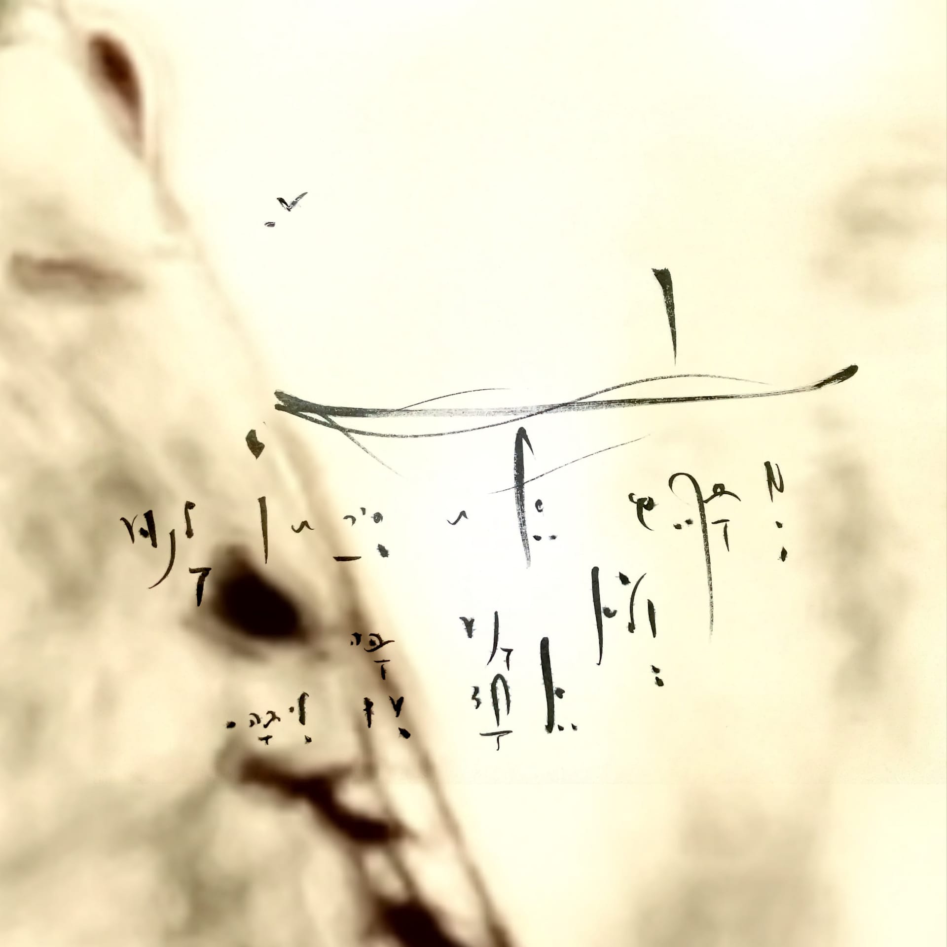 5QLN 언어 프랙탈이란 무엇인가?